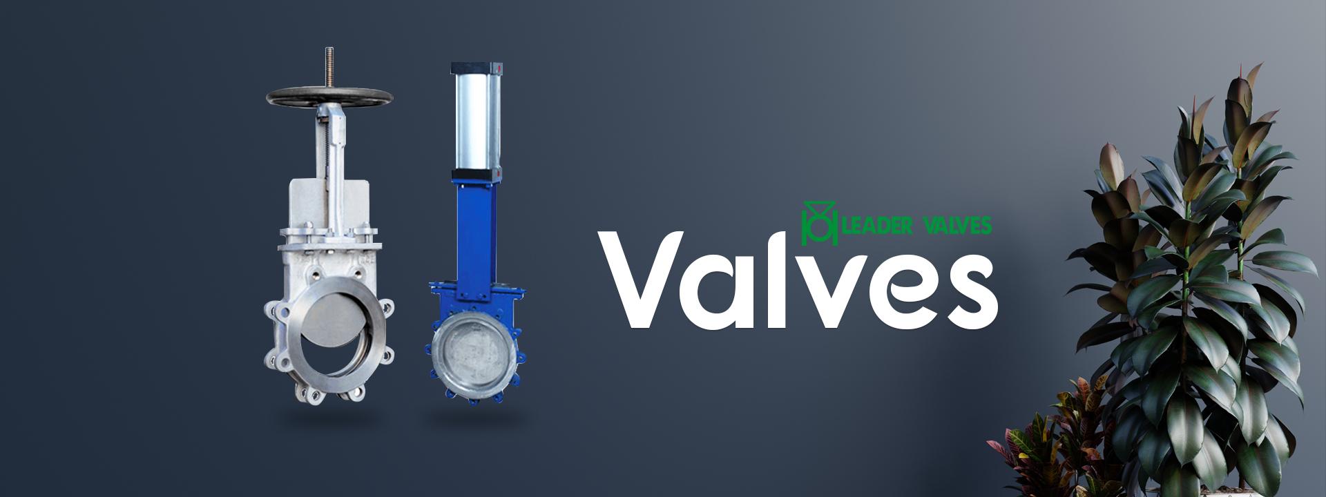 Leader Valves